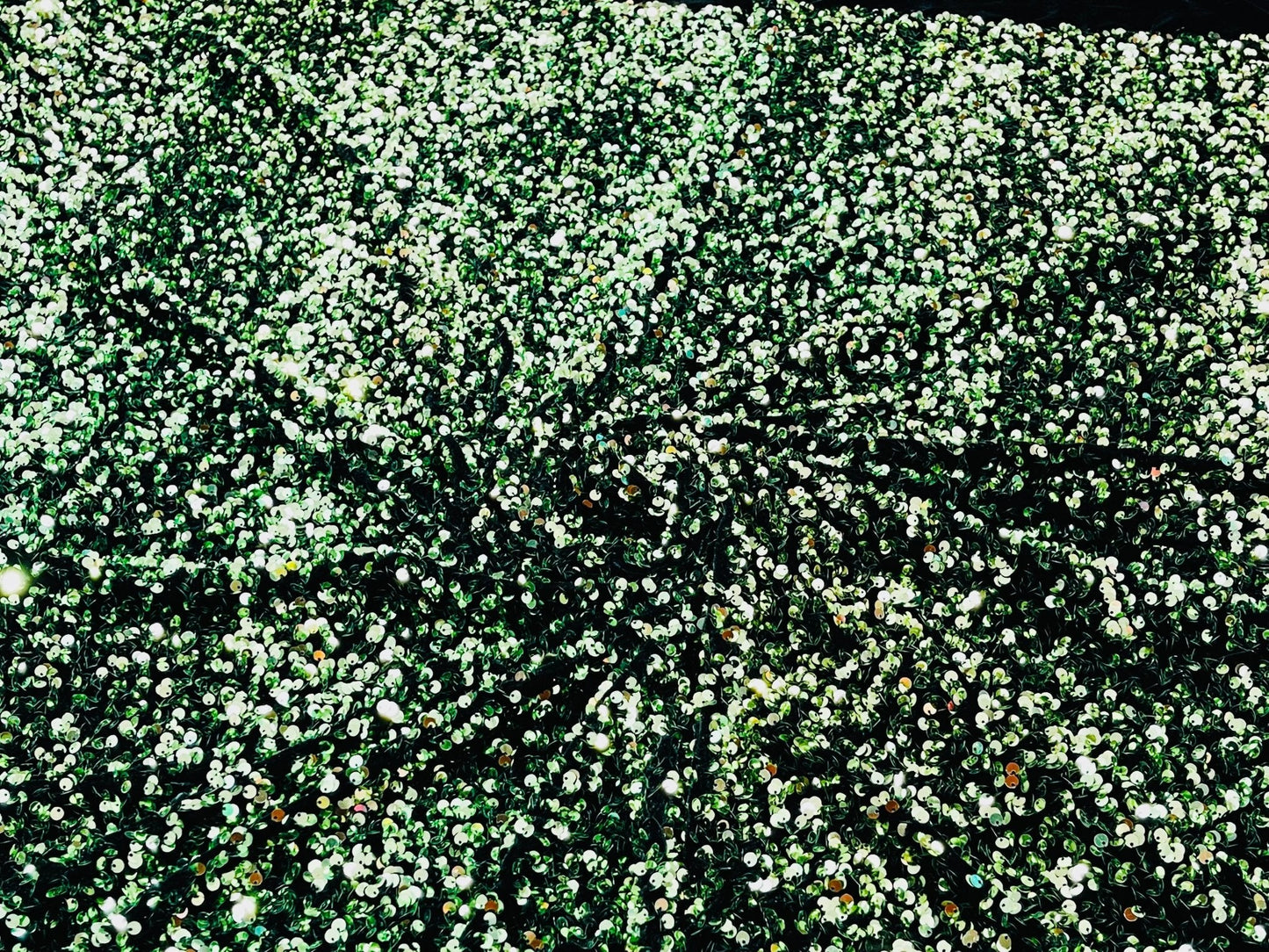 All-Over 5mm Shiny Sequins Stretch Velvet 54" Wide| New Creations Fabric & Foam Inc.