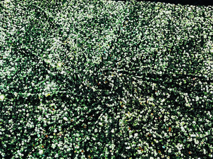 All-Over 5mm Shiny Sequins Stretch Velvet 54" Wide| New Creations Fabric & Foam Inc.