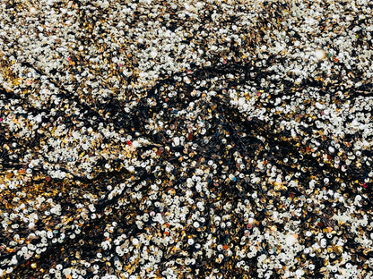 All-Over 5mm Shiny Sequins Stretch Velvet 54" Wide| New Creations Fabric & Foam Inc.