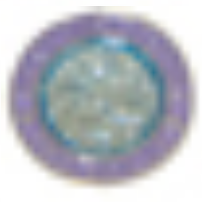 Beach Saint St. Christopher Necklace Medal - Small/Nickel Size