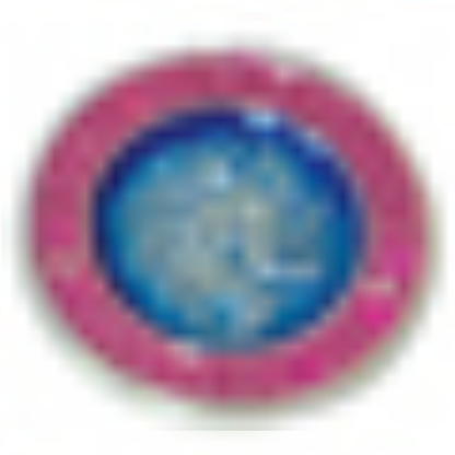Beach Saint St. Christopher Necklace Medal - Small/Nickel Size