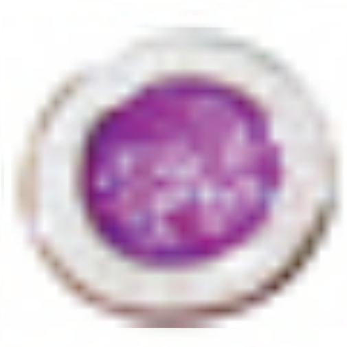 Beach Saint St. Christopher Necklace Medal - Small/Nickel Size