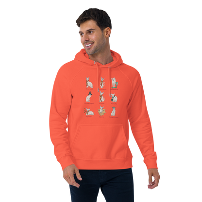 "HARRY POTTER SPHYNX" UNISEX HOODIE
